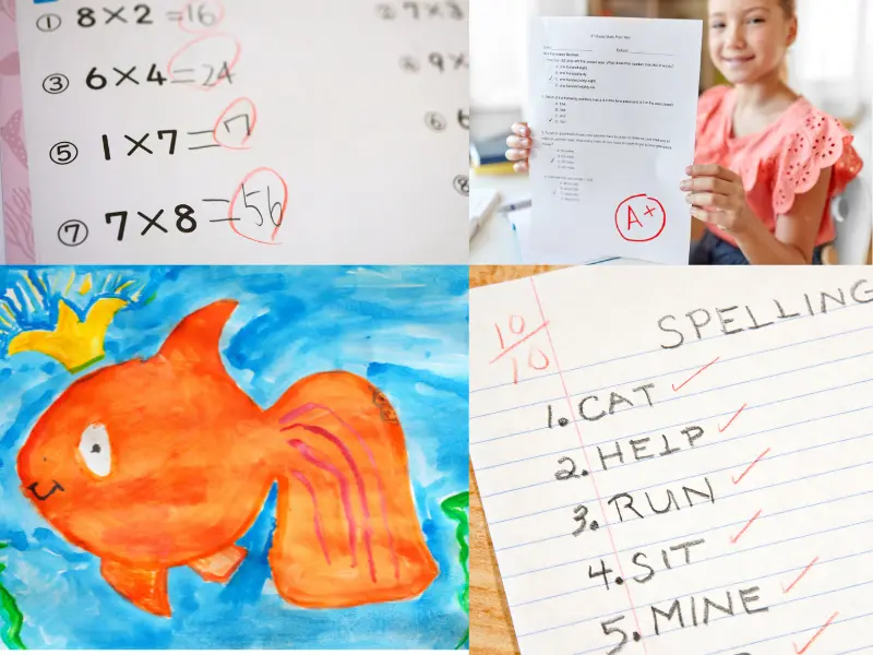 Homeschool Portfolio Paperwork Examples